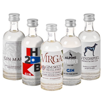 Gin Box World Tour 10 × 0,05 l 42,9% Giftbox - 4