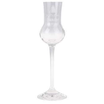 Svachovka sada Slivovice  0,5l 45% +2 glasses - 2