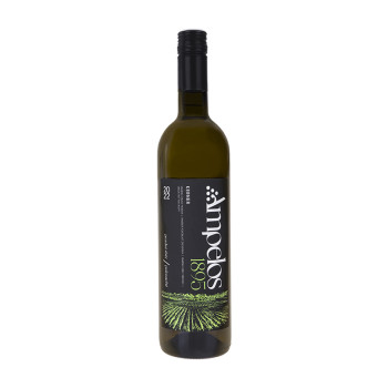 Kerner 2024 late harvest 0,75 l 13%